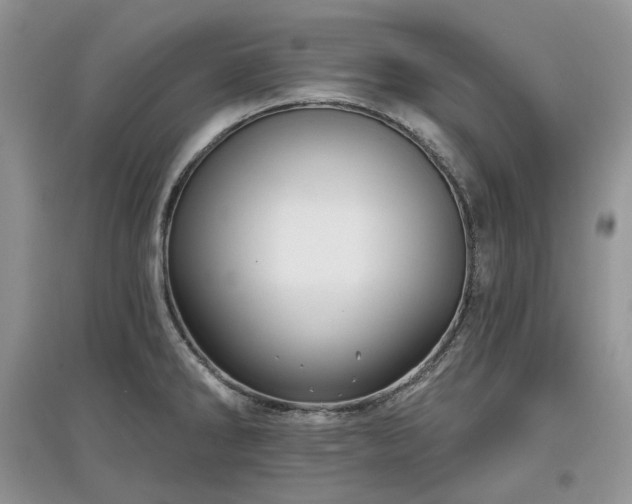 X0000097631286200803071523