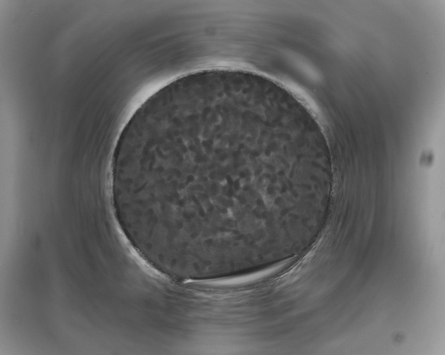 X0000097631287200803071523