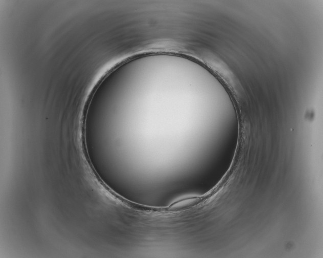 X0000097631288200803071523