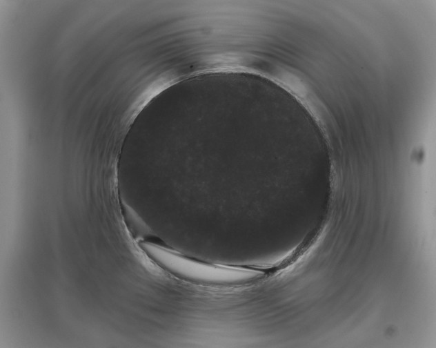 X0000097631289200803071523