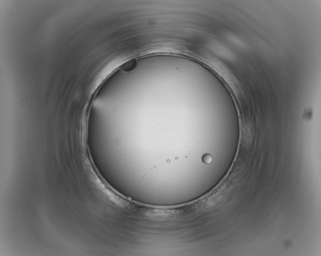 X0000097631290200803071523