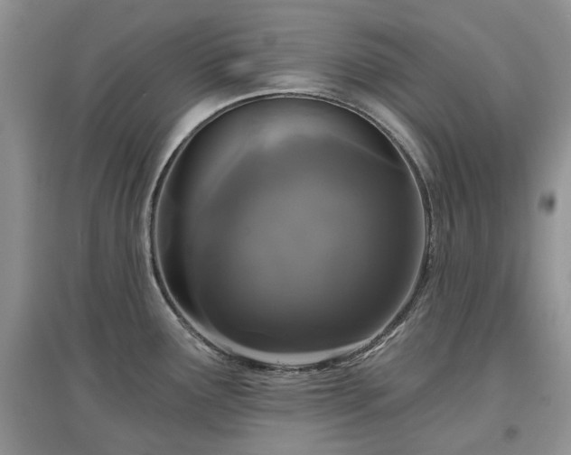 X0000097631291200803071523