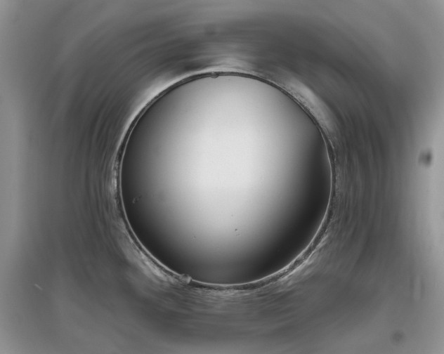 X0000097631292200803071523