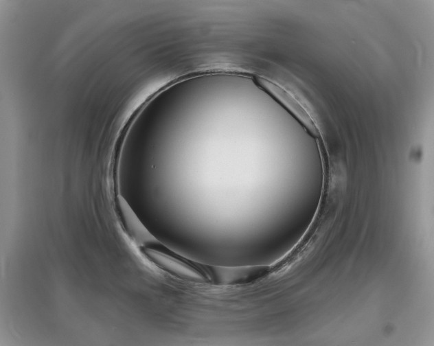 X0000097631293200803071523