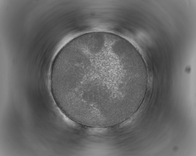 X0000097631294200803071523