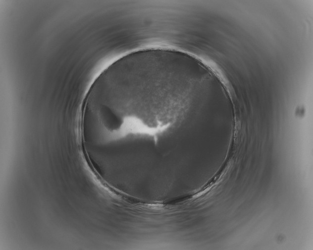 X0000097631295200803071523