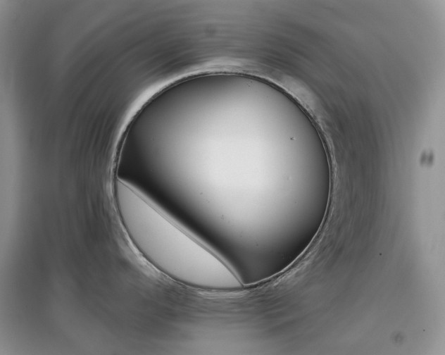 X0000097631296200803071523