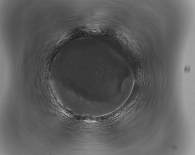 X0000097631297200803071522