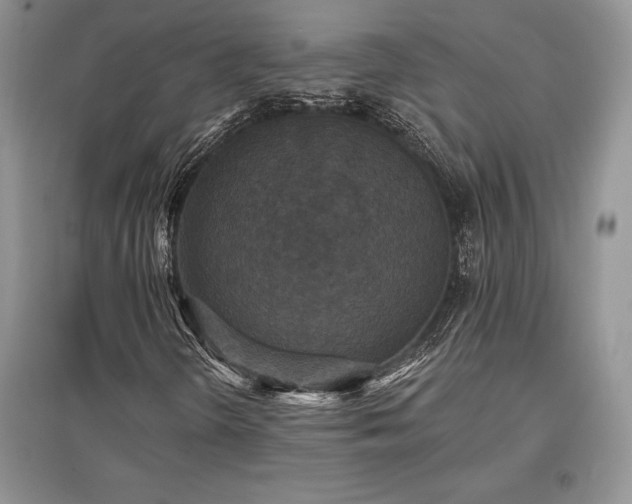 X0000097631298200803071522