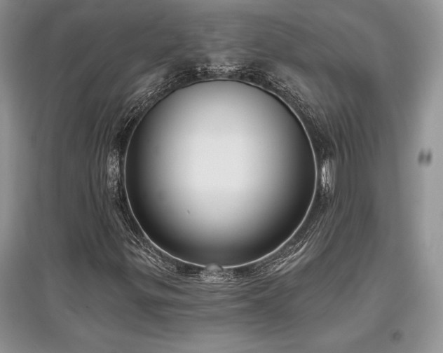 X0000097631299200803071522