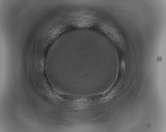 X0000097631300200803071522