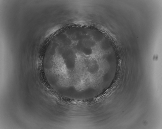 X0000097631302200803071522