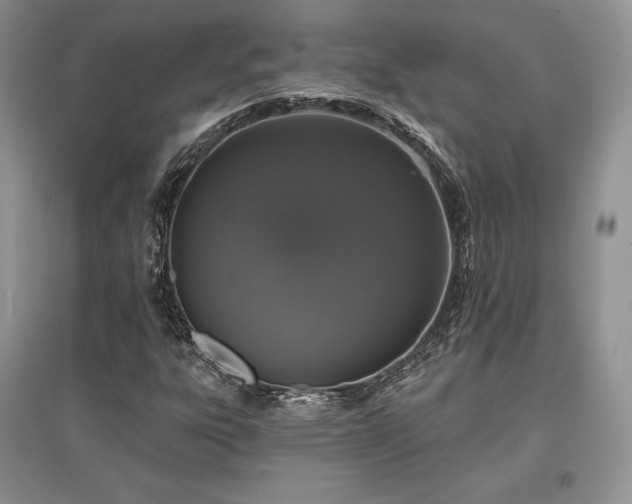 X0000097631303200803071522