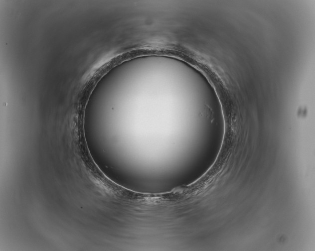 X0000097631304200803071522