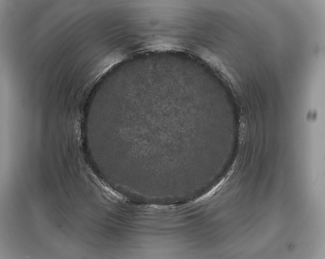 X0000097631305200803071522