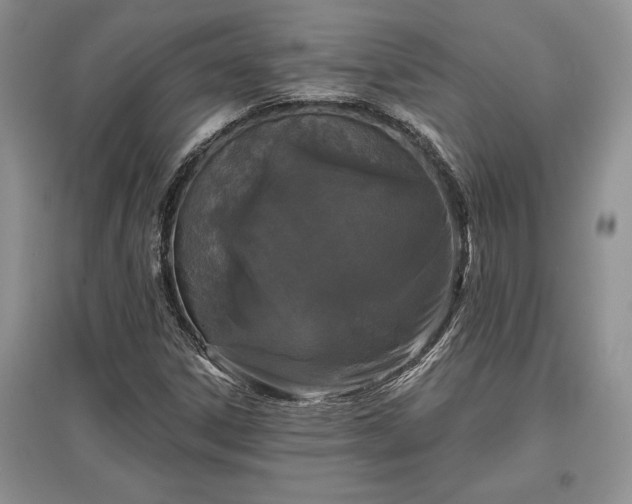 X0000097631306200803071522