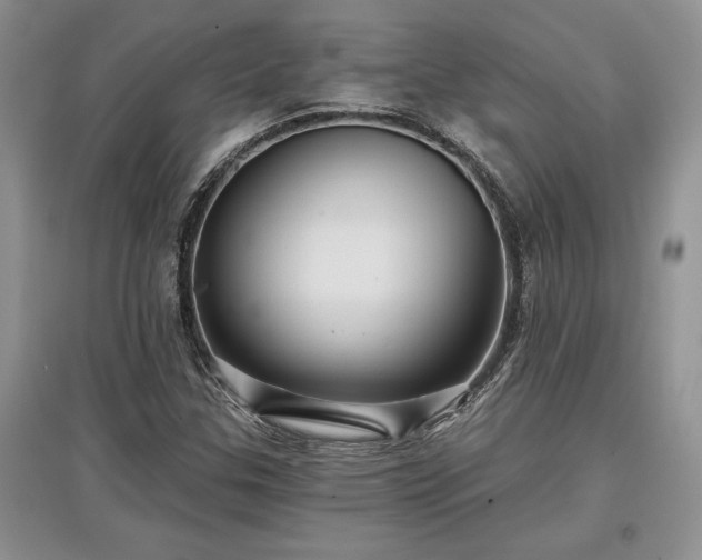 X0000097631307200803071523