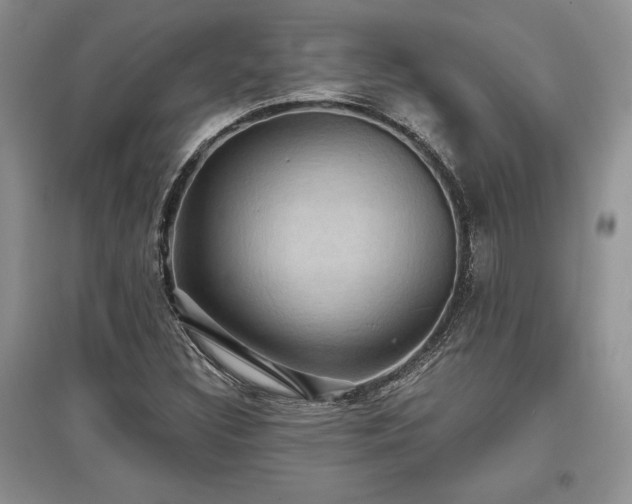 X0000097631308200803071523