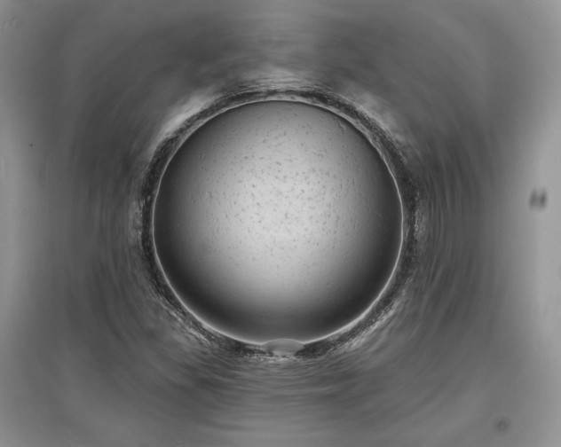 X0000097631309200803071523