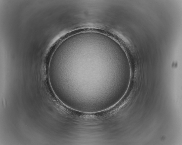 X0000097631310200803071523