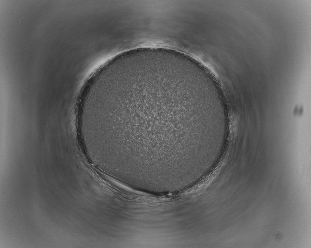 X0000097631311200803071523