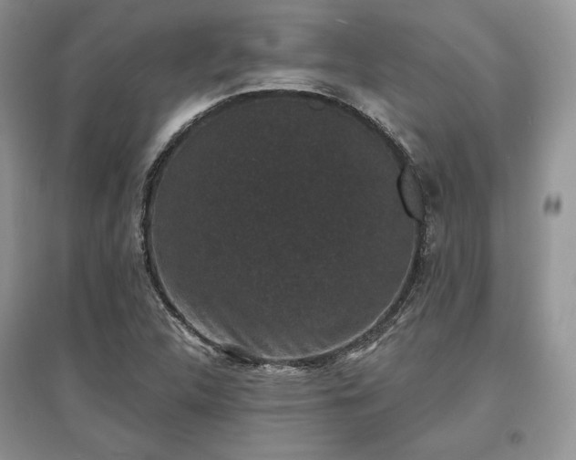 X0000097631312200803071523