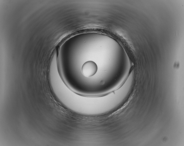 X0000097631313200803071523