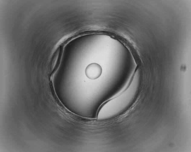 X0000097631314200803071523