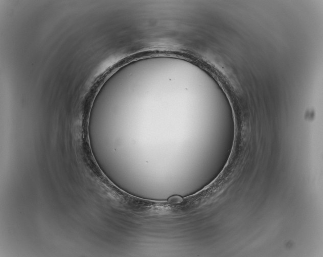 X0000097631315200803071523