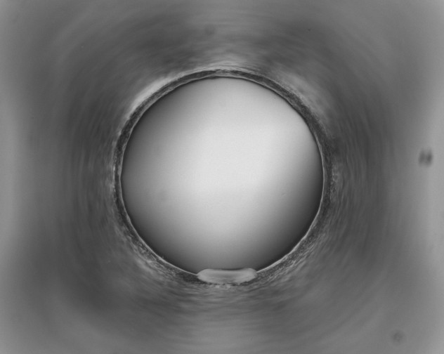 X0000097631316200803071523