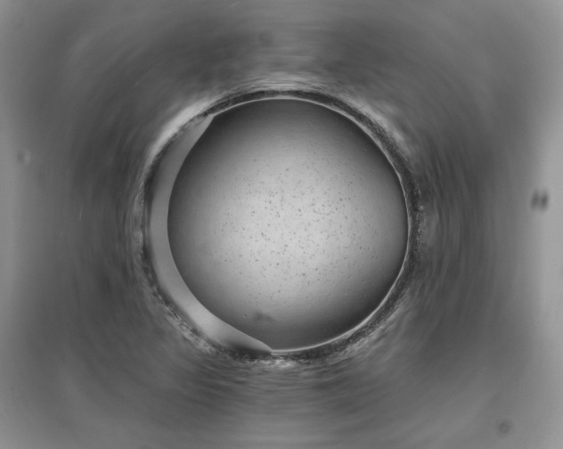 X0000097631317200803071523