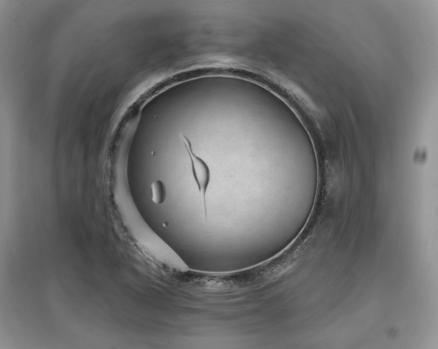 X0000097631318200803071523