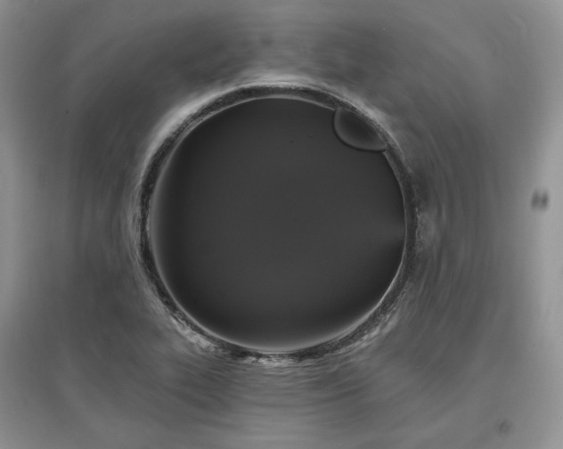 X0000097631319200803071523