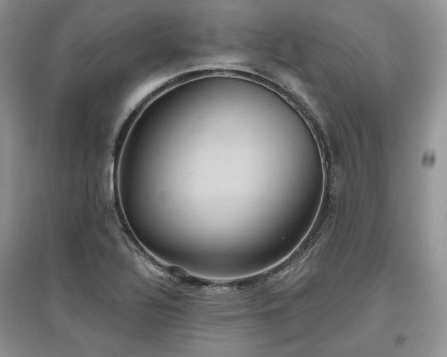 X0000097631320200803071523