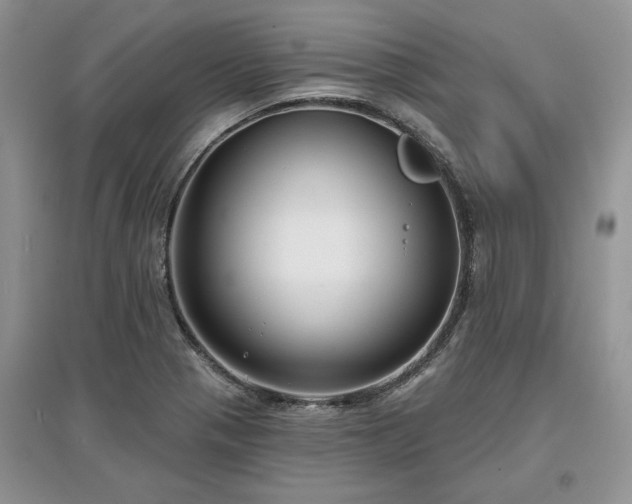 X0000097631321200803071523