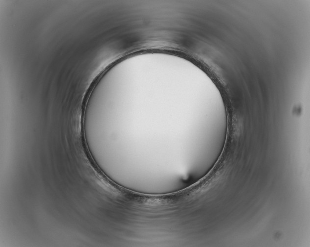 X0000097631322200803071523