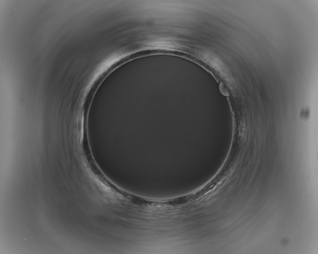 X0000097631323200803071523