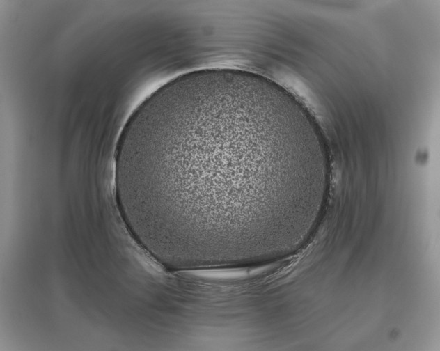 X0000097631324200803071523