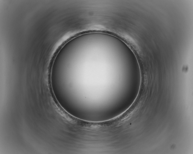 X0000097631326200803071523