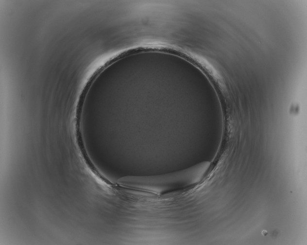 X0000097631327200803071523