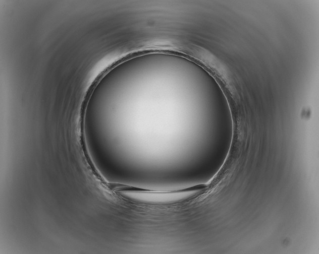 X0000097631328200803071523