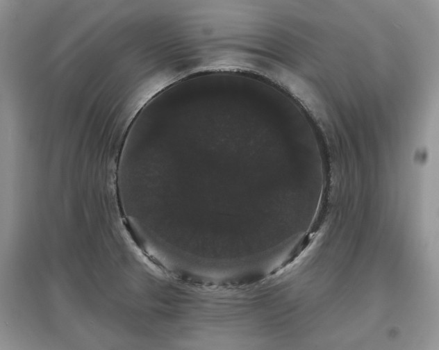 X0000097631329200803071523