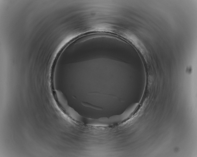 X0000097631331200803071523