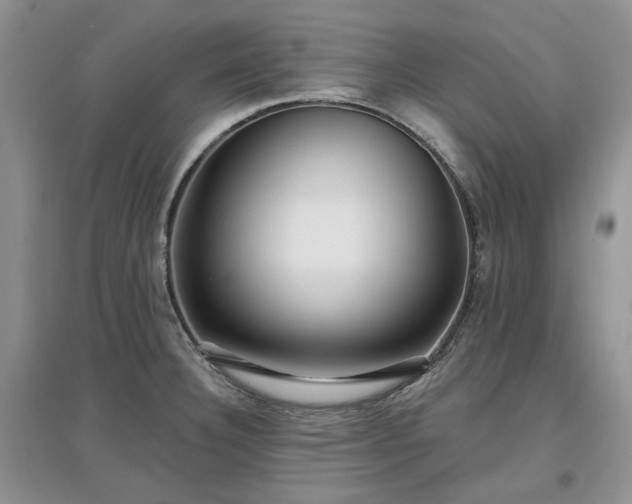 X0000097631332200803071523