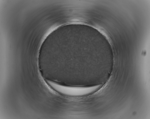 X0000097631333200803071523