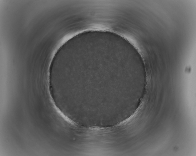 X0000097631335200803071523