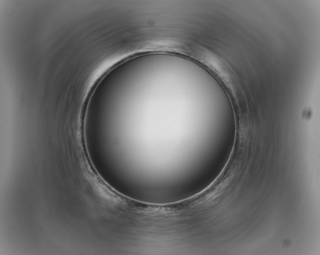 X0000097631336200803071523