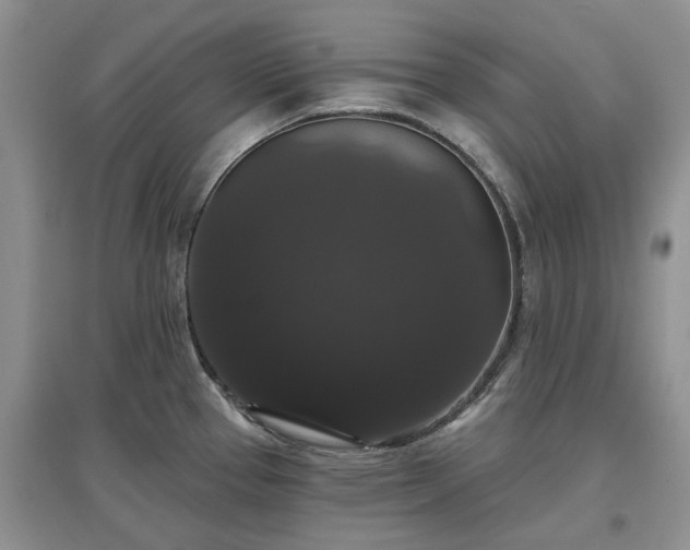 X0000097631337200803071523