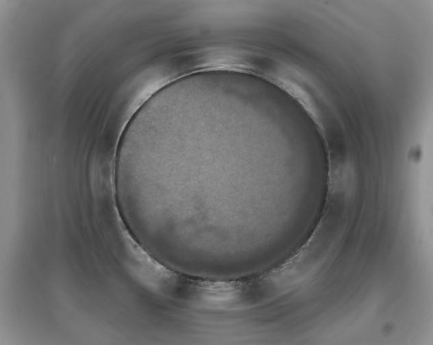 X0000097631338200803071523