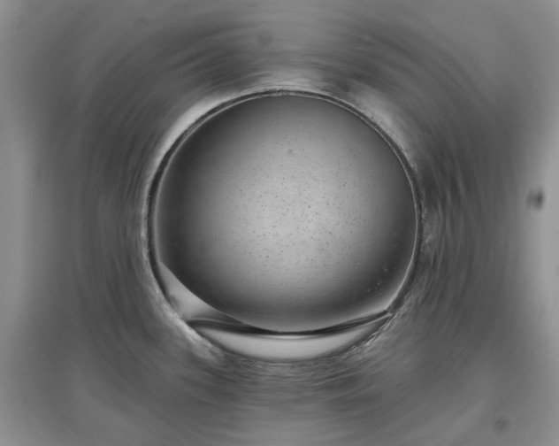 X0000097631339200803071523